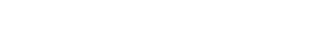 Hutchinson Lab of Cognitive Neuroscience
